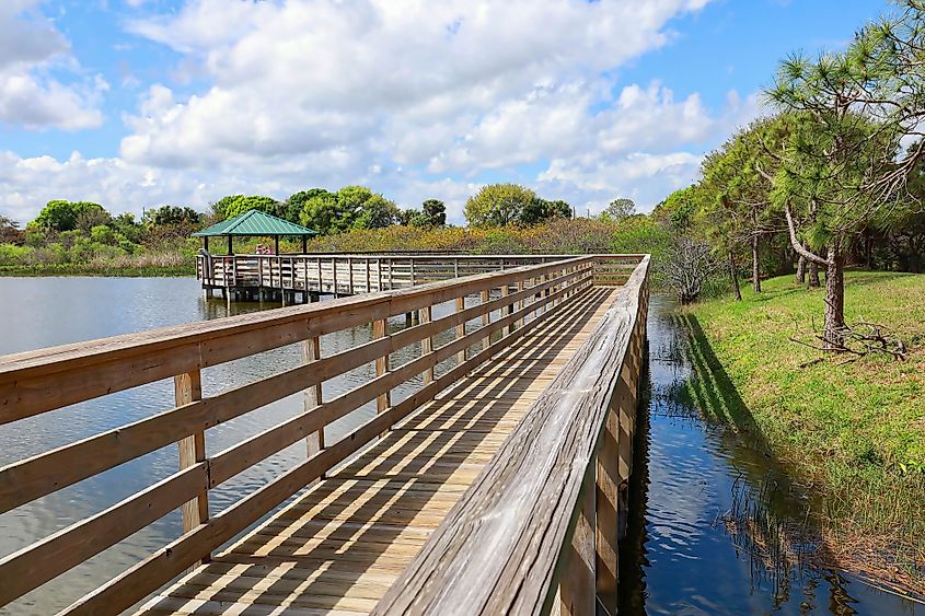 Boardwalk at Wakodahatchee Wetlands Park