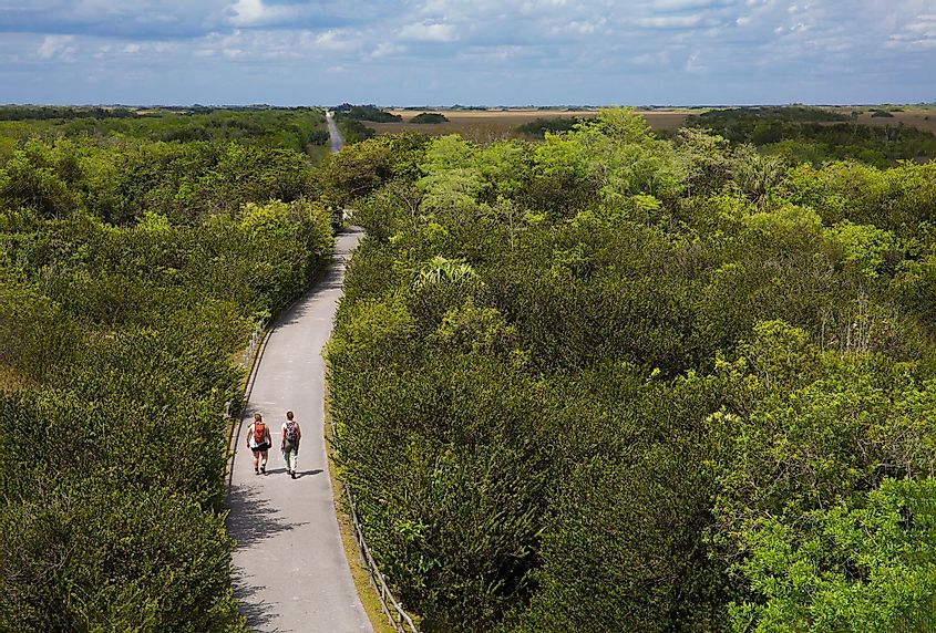 The Florida Trail through the Florida Everglades.