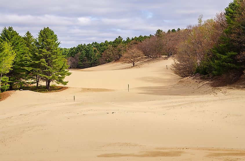 Desert of Maine in Freeport, Maine.