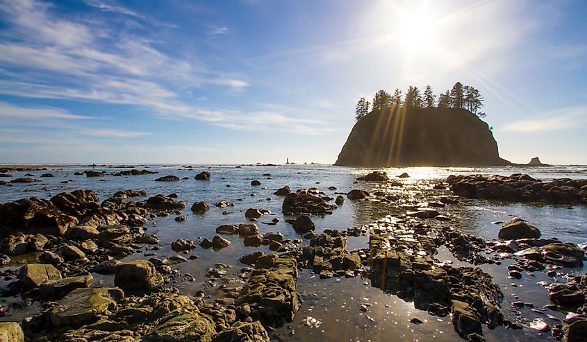 Horizontal Photo of a Sea stack during Low Tide at Second Beach Olympic National Park