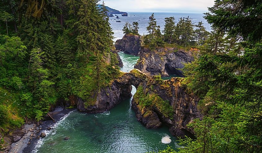 Lush greenery surrounds a natural rock arch over a coastal inlet in Samuel H. Boardman State Scenic Corridor in Oregon.