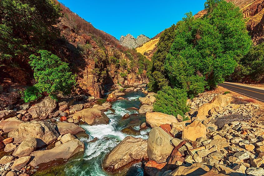 Kings Canyon National Park