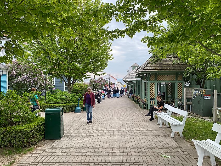 A quiet brick sidewalk encompassed by trees