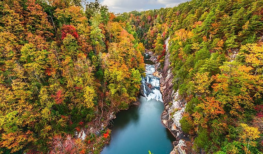 Aerial view of a serene waterfall cascading into a river, surrounded by lush forest in vibrant autumn colors, evoking a sense of tranquility and natural beauty.