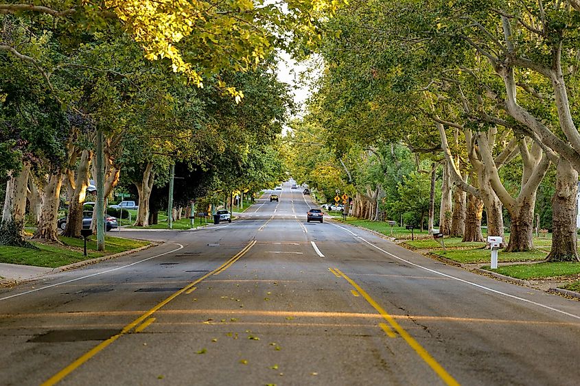 A view of a main street of Farmington lined by trees in Utah.