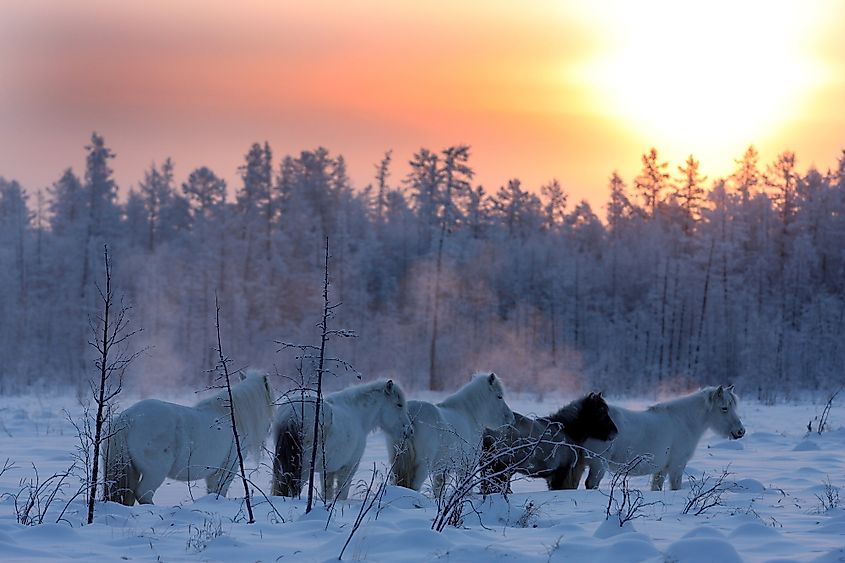 Yakutsk