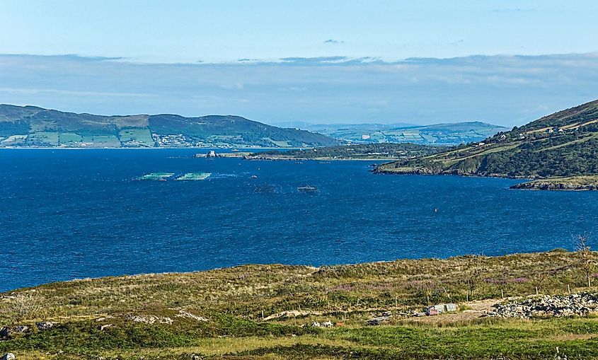 Salmon and oyster cages moored in a fish farm near Rathmullen, Lough Swilly, Donegal, Ireland.