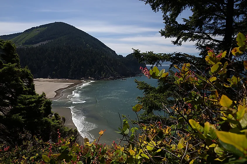  Oswald West Oregon State Park