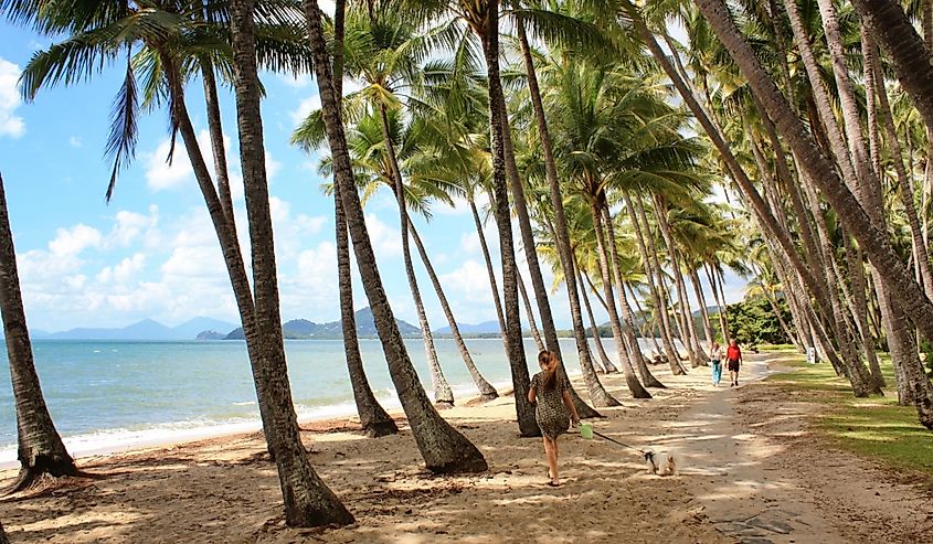 The beach of Palm Cove in Far North Queensland