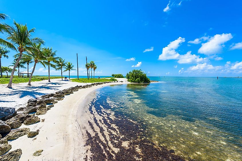 Sombrero Beach with palm trees on the Florida Keys, Marathon, Florida
