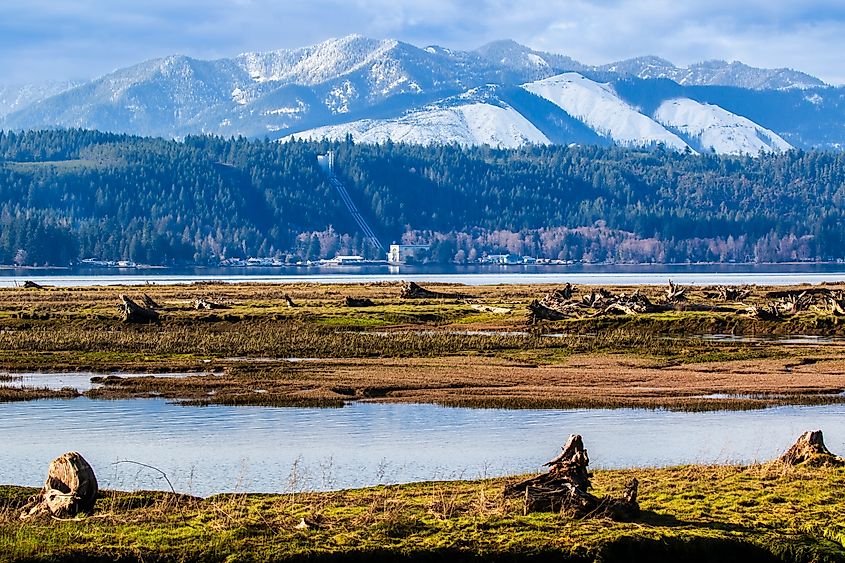 Skokomish River at Hood Canal near Union, Washington, with the Olympic Mountains in the background.