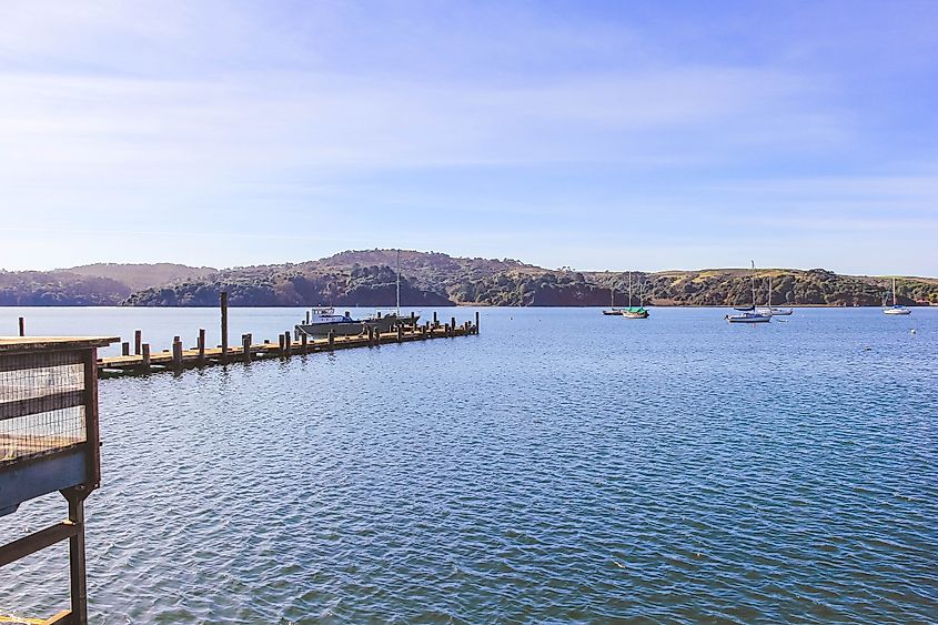View of Tomales Bay, Point Reyes and Boats from the Marshall Store