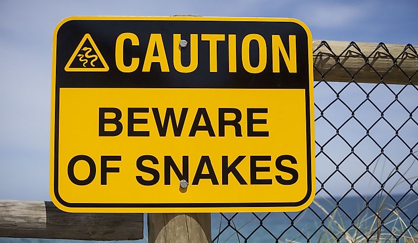 Beware of snakes sign