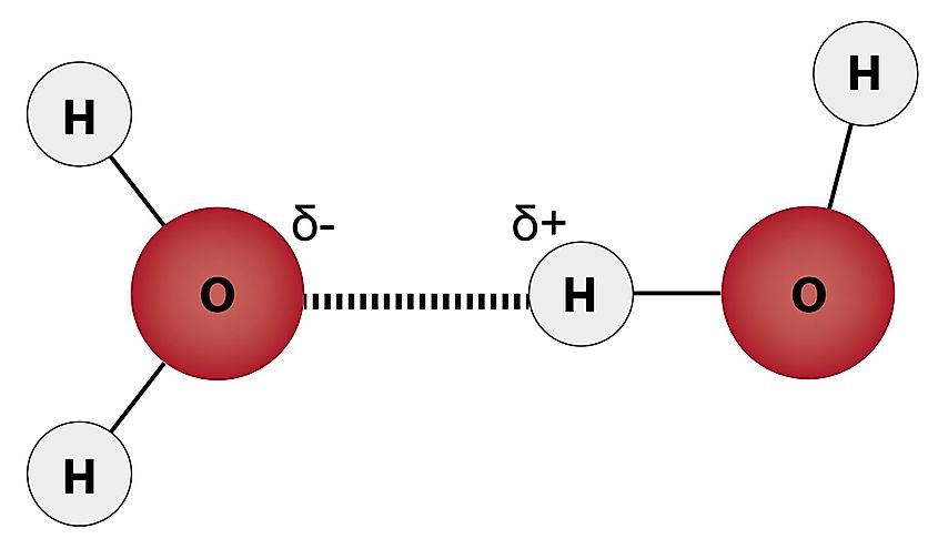 Water molecules joined by a hydrogen bond