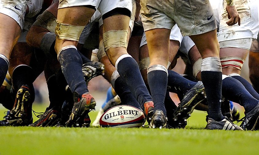 Rugby Players Scrum 