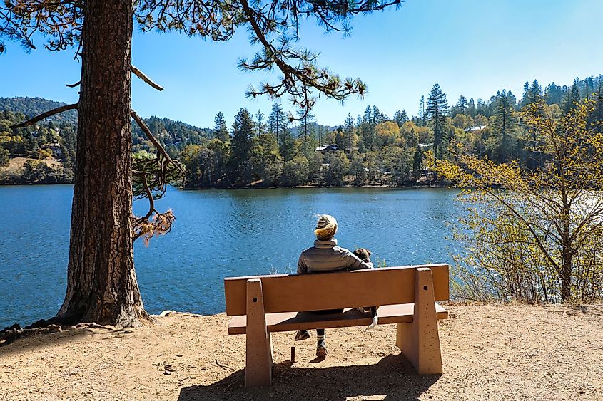 A woman and a dog sitting on a park bench and enjoying the view of Lake Gregory in Crestline, California