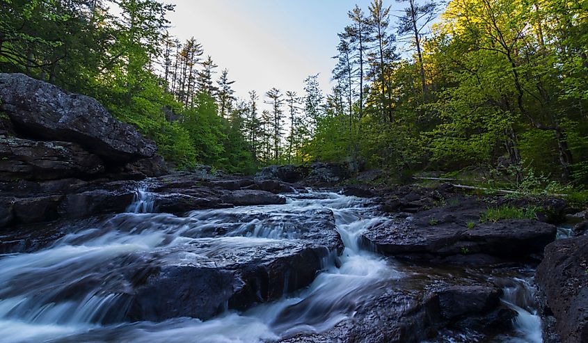 Lush green landscape and spring runoff along the Salmon Falls River in Lebanon, Maine.