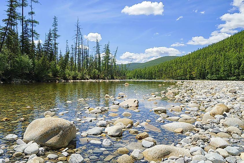 Headwaters Forest Reserve
