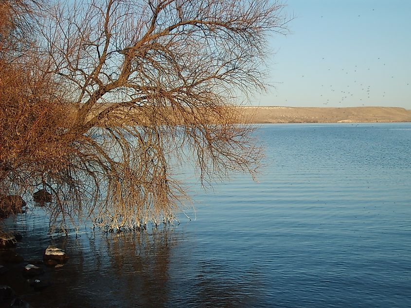 C.J. Strike Reservoir, Idaho.