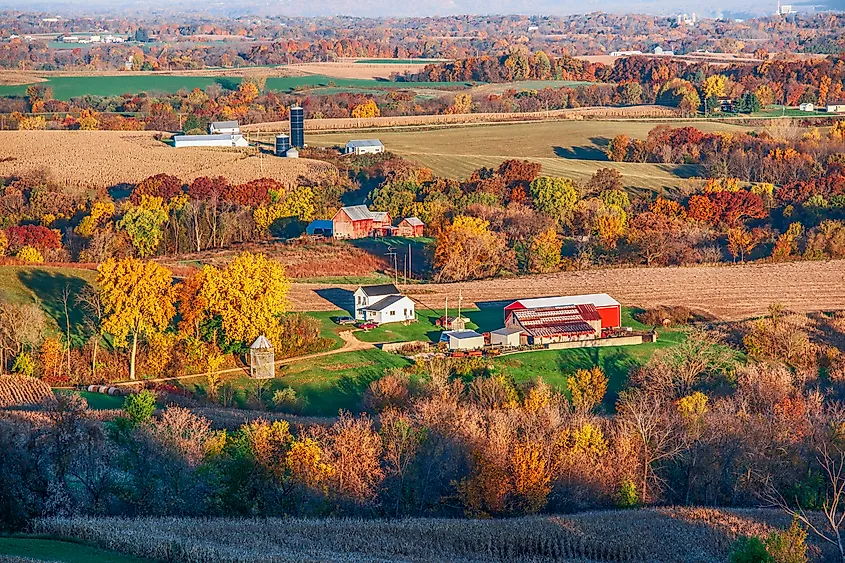 Aerial view of farmland during early autumn in northeastern Iowa.
