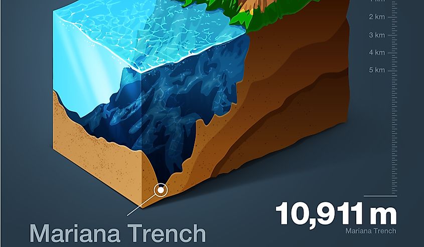 A cross-section of the Mariana Trench, the ocean's deepest point, carved where oceanic crust bends down into the mantle.