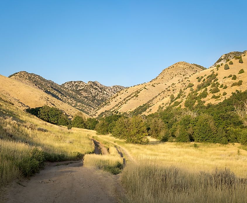 Dry mountain trail, Cache Valley, Utah.