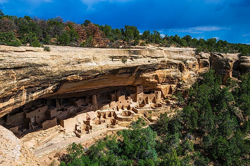 The Cliff Palace cliff dwelling in the National Park Mesa Verde in Colorado.