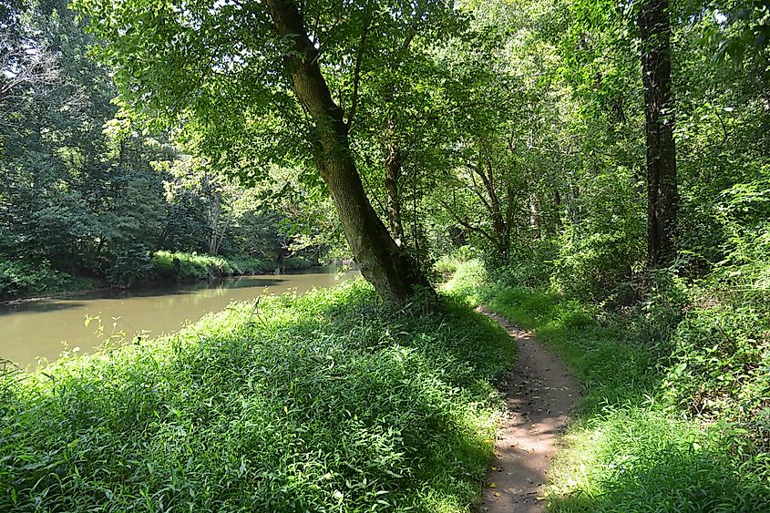 The Seneca Creek Greenway Trail runs right alongside Seneca Creek