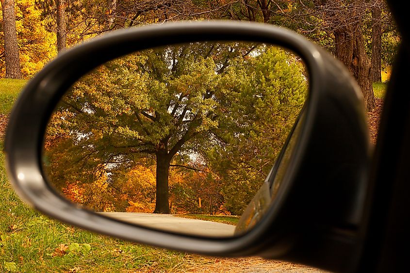 fall colors in a rear view mirror at the Morton Arboretum in Lisle, Illinois