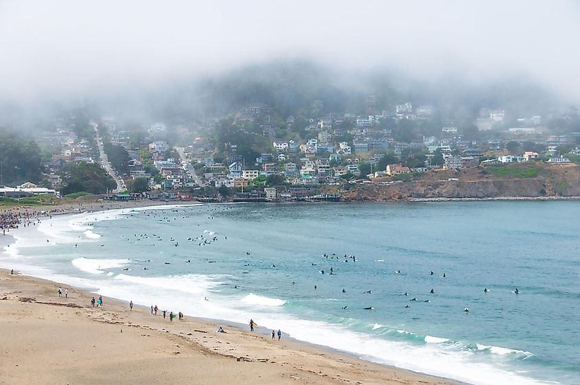 On a foggy morning at Pacifica State Beach, people gather for the World Dog Surfing Championship.