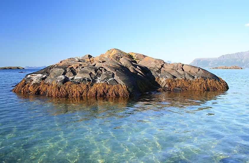 Skerry outside Krøttøy in Harstad municipality, Norway.