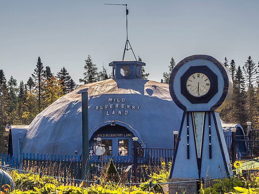 Wild Blueberry Land in Columbia Falls, Maine, a whimsical blueberry-shaped building surrounded by lush fields.