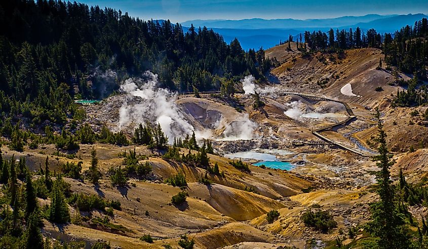 Steam rising from geysers with the Bumpass Hell boardwalk and trees in the background in Lassen Volcanic National Park