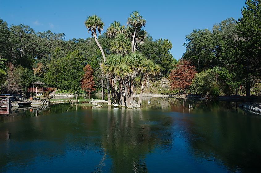 Editorial Use Only December 20, 2024. Williston, Florida, USA. High view looking out over Cedar Lakes Woods and Gardens Botanical Gardens. Green trees, palm trees and calm blue water with reflections.