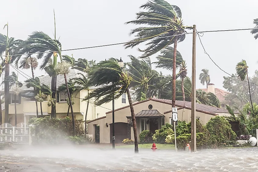 A hurricane blows through a Florida street.