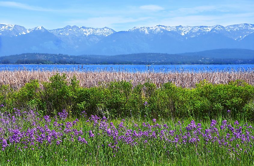 Flathead Lake and the Swan Mountain Range near Somers, Montana