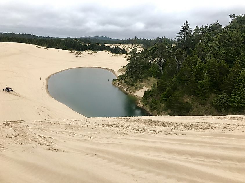 Oregon Dunes National Recreation Area, Oregon.