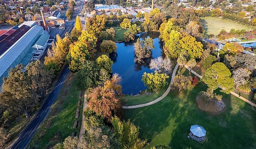 Aerial view of Castlemaine Botanic Gardens and Lake Joanna in central Victoria, Australia