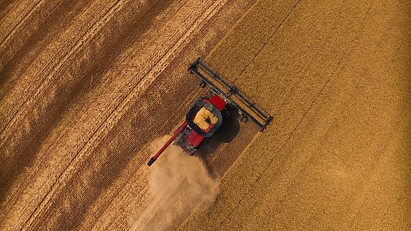 Wheat harvest with combines in the Palouse area of Washington State.