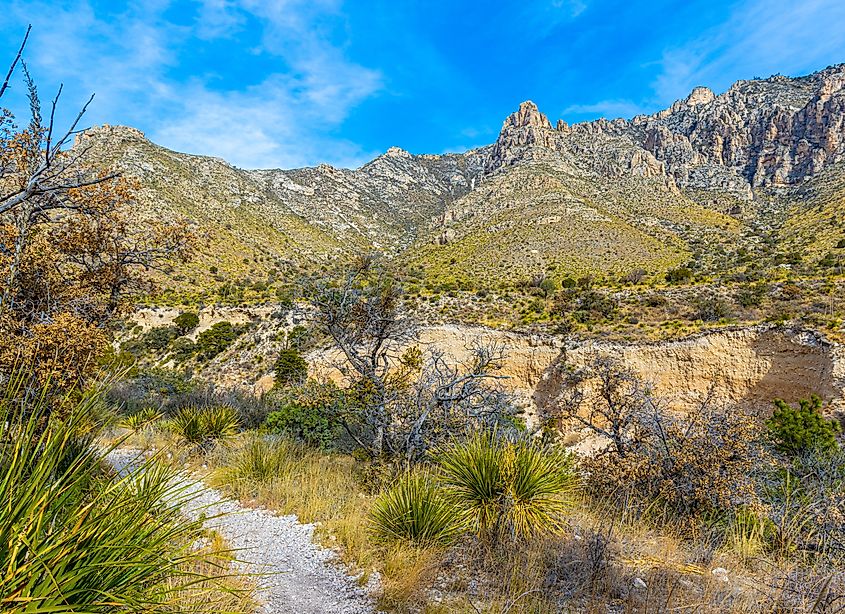 The Devil's Hall Trail in Pine Springs Canyon, Guadalupe Mountains National Park, Texas, USA.