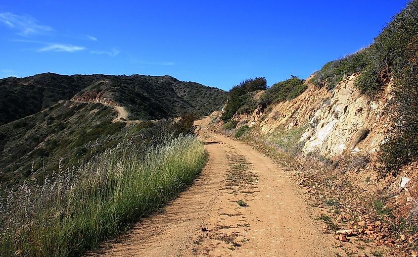 Catalina Island back country from the Trans Catalina Trail