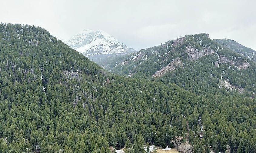 Cedar hills at Lehi, Utah.