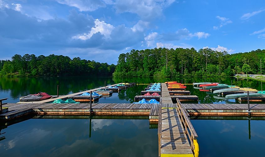 Wooden dock with rows of colorful paddle boats and kayaks on a calm lake.