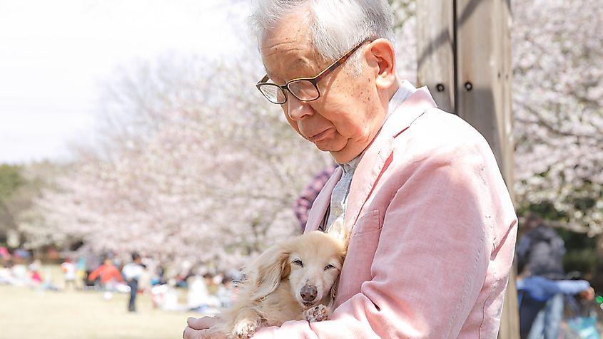 Japan old person