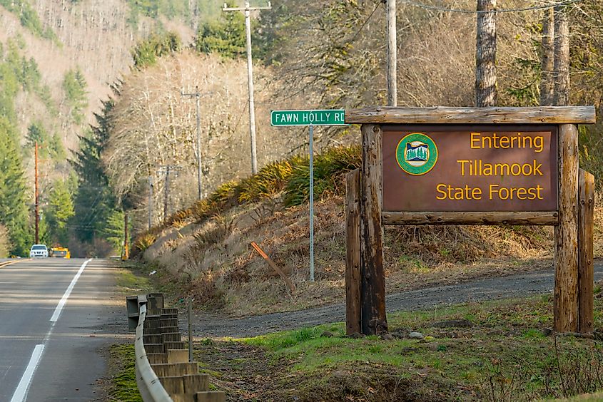A sign along the Wilson River Highway welcomes drivers to Tillamook State Forest.