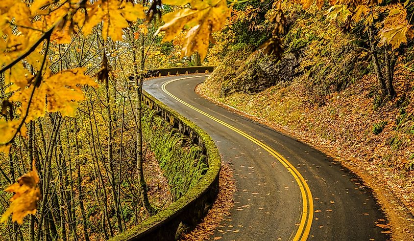 Old Columbia River Highway, Columbia River Gorge National Scenic Area, Oregon
