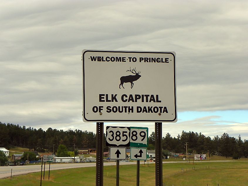 Pringle, also called the Elk Capital of South Dakota.