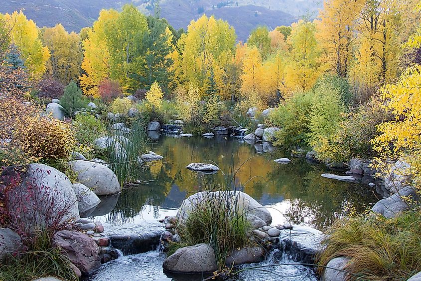 The John Denver Sanctuary is the perfect place to spend time in the lap of nature while visiting Aspen, Colorado.