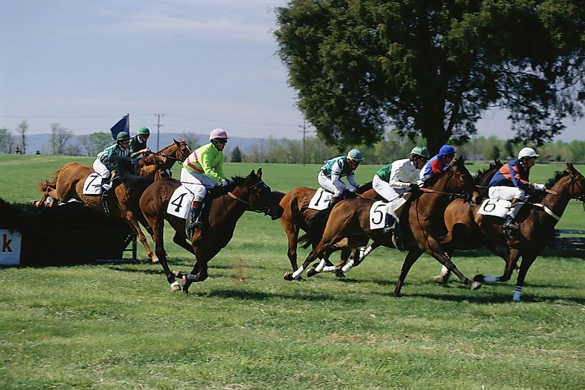 Steeplechase race, Glenwood Park Course, Middleburg, Virginia.