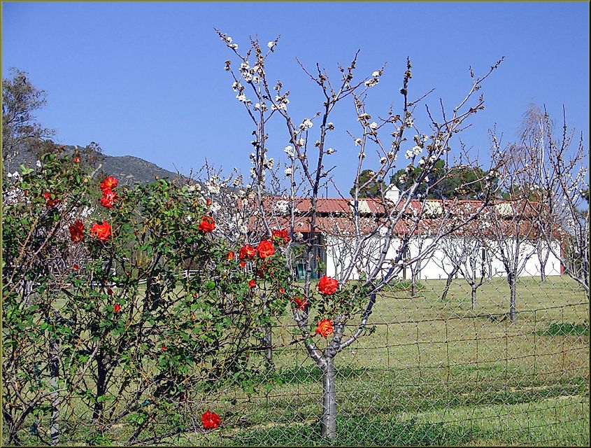 Spring in Cherry Valley, California